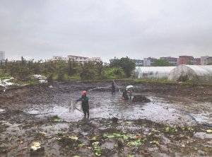 郊区河道鱼塘清淤